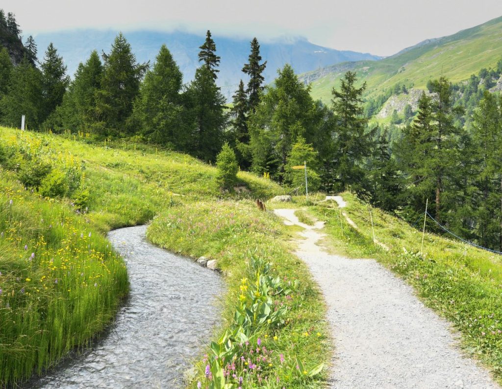 Il sentiero accanto a una bisse. Foto Charles Edouard Nicolet