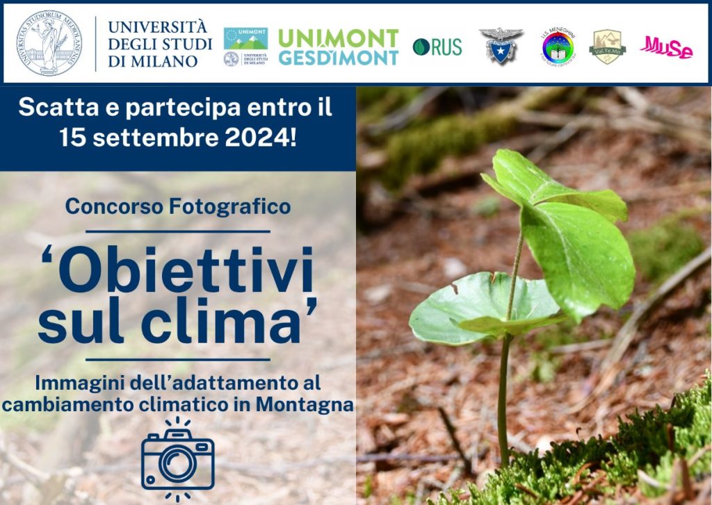 La locandina del concorso