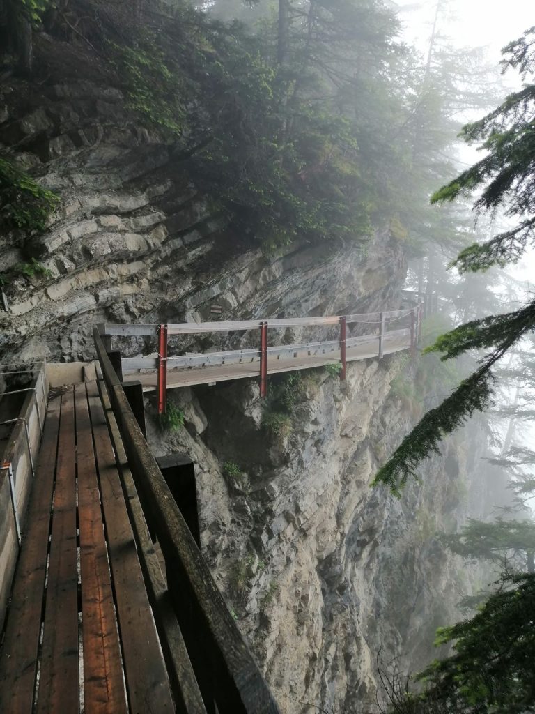 Lungo la Bisse du Ro. Foto Ettore Pettinaroli