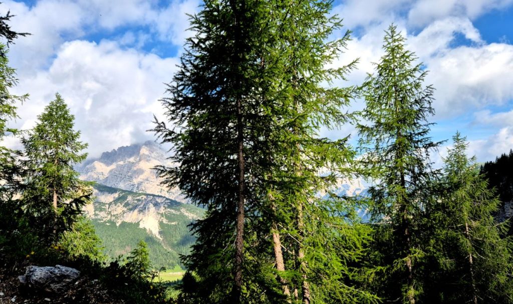 Lungo la salita al rifugio Fonda Savio, foto di Stefano Ardito