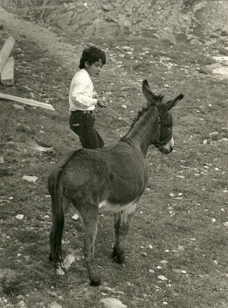 Rimase per qualche tempo un piccolo asino sardignolo che ero solito condurre con mio fratello per il trasporto di viveri freschi, foto archivio E. Simonetti