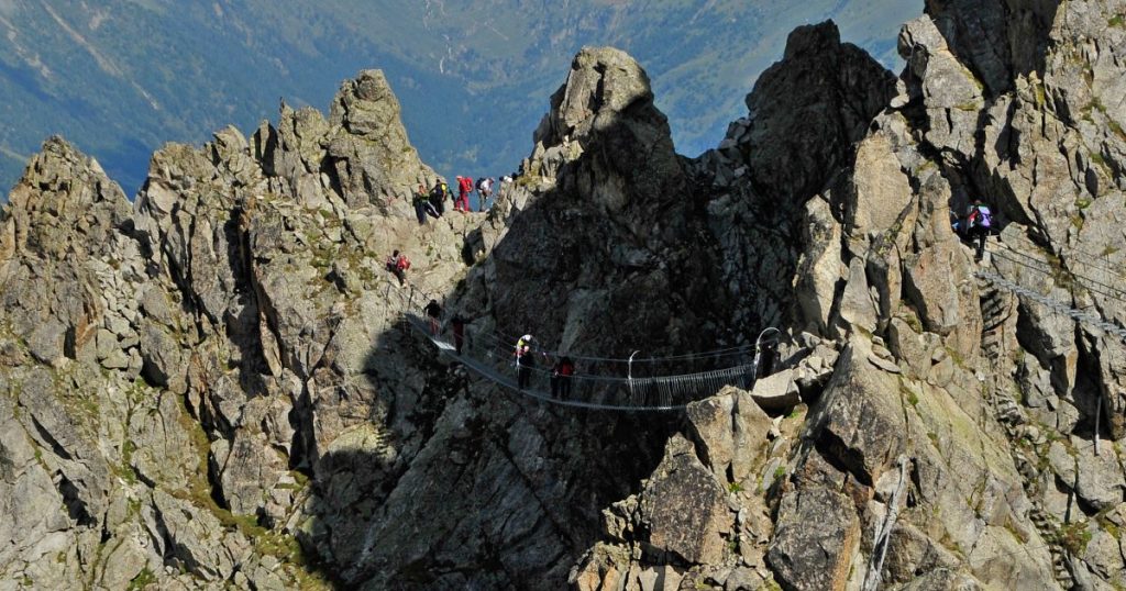Sentiero dei fiori. Si sviluppa a circa 3.000 metri di quota e si raggiunge con gli impianti di risalita dal Passo del Tonale. Fot Icaro Pigolotti