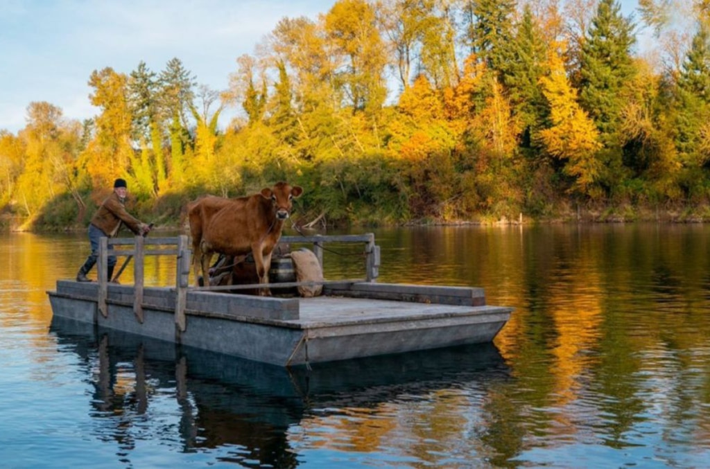 First cow, la vera protagonista del film