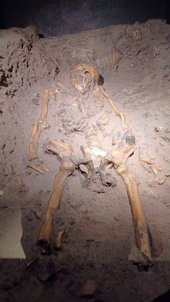 Calco dello scheletro