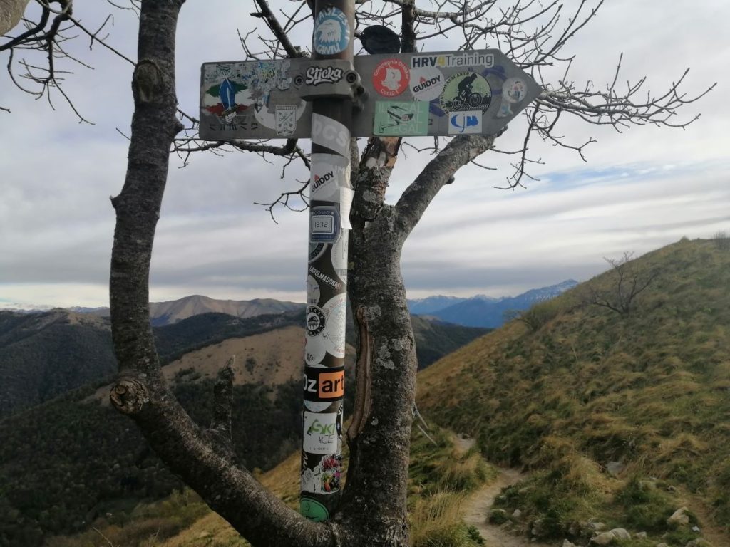 Come colorare una giornata grigia. Foto Ettore Pettinaroli