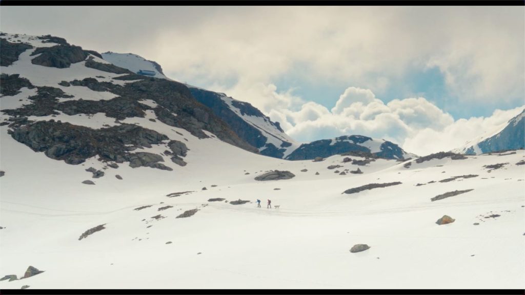 Fiore mio CSamarcanda Film