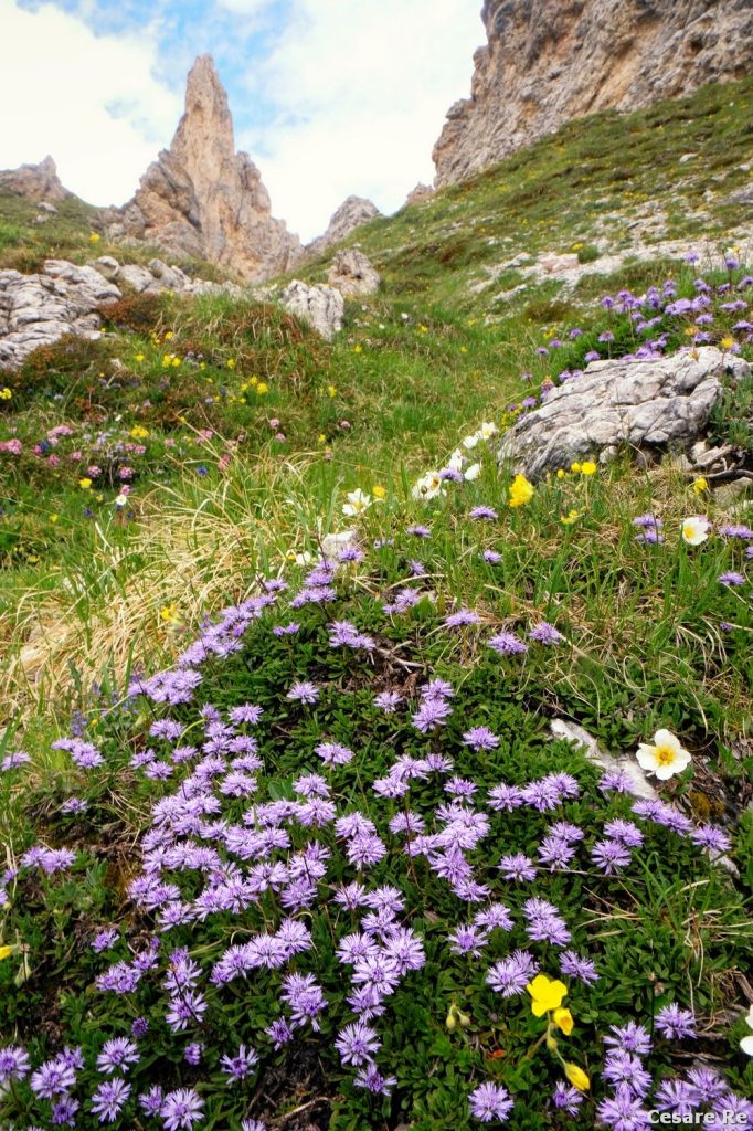 I pinnacoli presso Passo Cir. Foto Cesare Re
