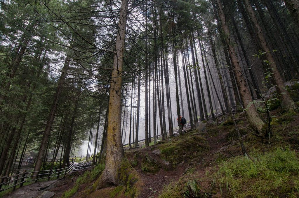 Il Sentiero di San Francesco. Foto Roberto Carnevali