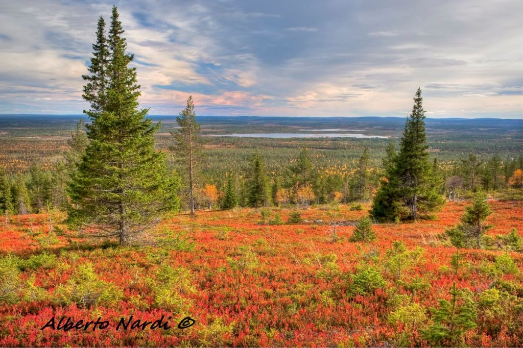 Il lago Yllasjarvi visto dalla collina di Keskisenlaki. Foto Alberto Nardi