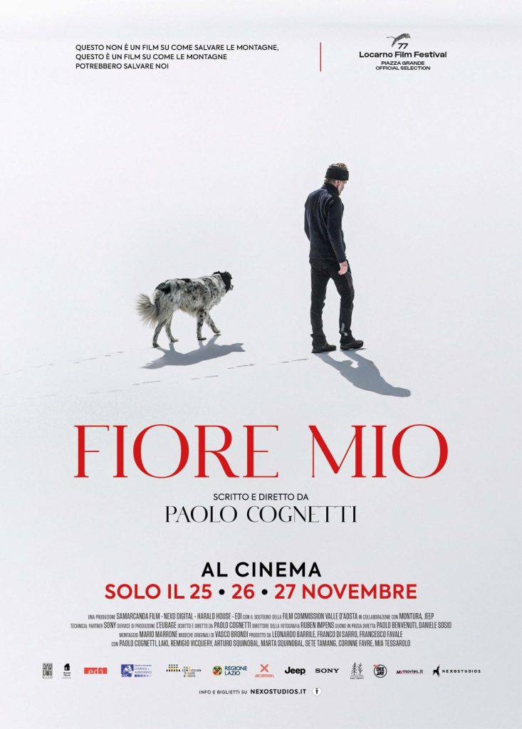 Il poster del film
