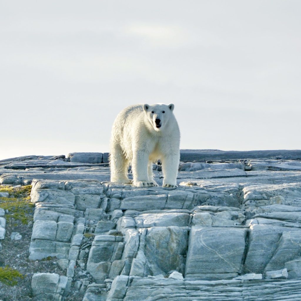 Incontri ravvicinati