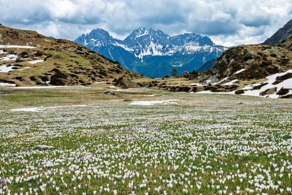 La Valle del Vò, a valle del Rifugio Tagliaferri. Foto Alberto Nardi