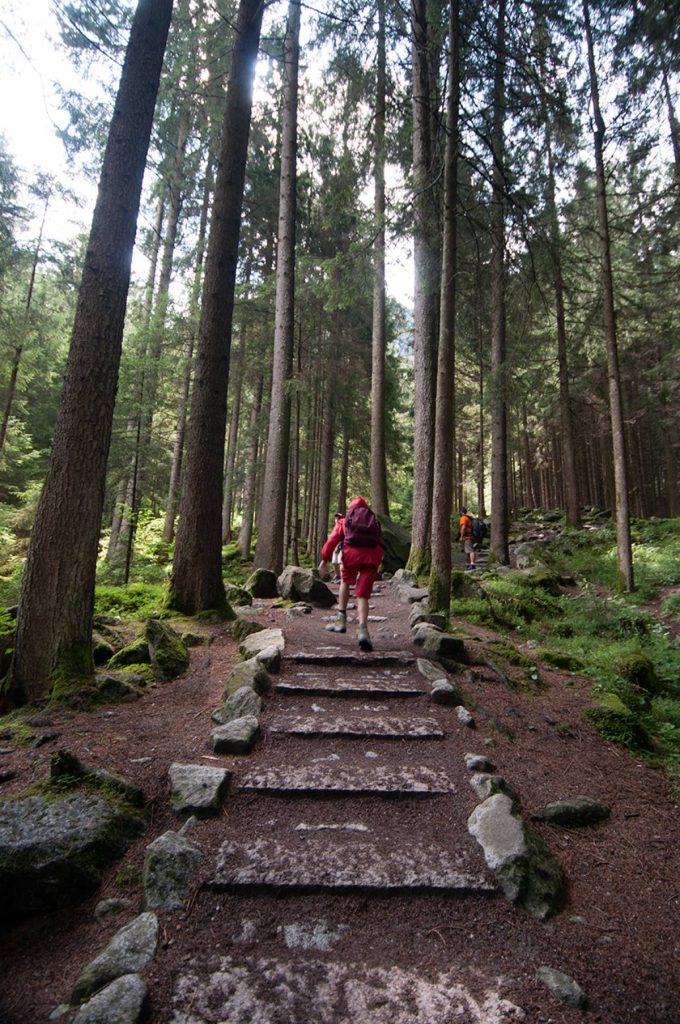 Lungo il Sentiero di San Francesco. Foto Roberto Carnevali