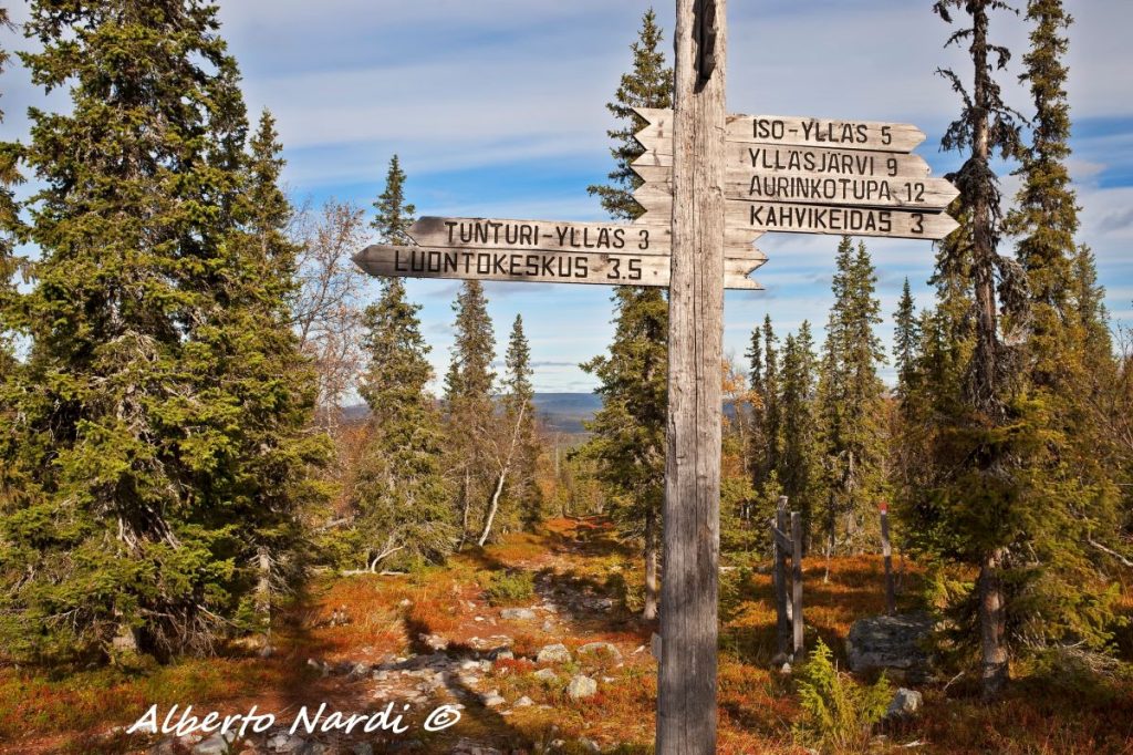 Parco Nazionale di Pallas-Yllastunturi, segnaletica lungo il sentiero. Foto Alberto Nardi