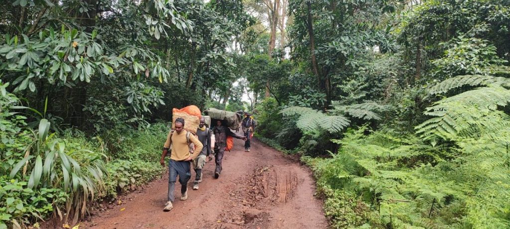 Portatori nel tratto iniziale della Machame route. Foto Cappadozzi