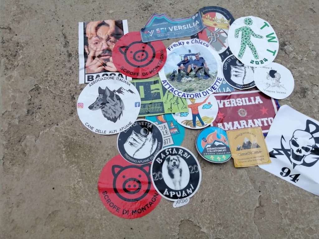 Sul Monte Gabberi, nelle Apuane, vivono le Scrofe di montagna. Foto Ettore Pettinaroli