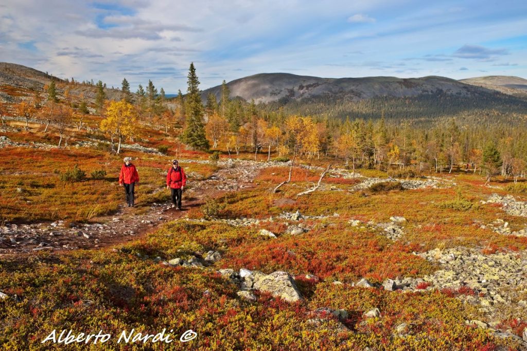 Sulle colline di Kellostapuli. Foto Alberto Nardi