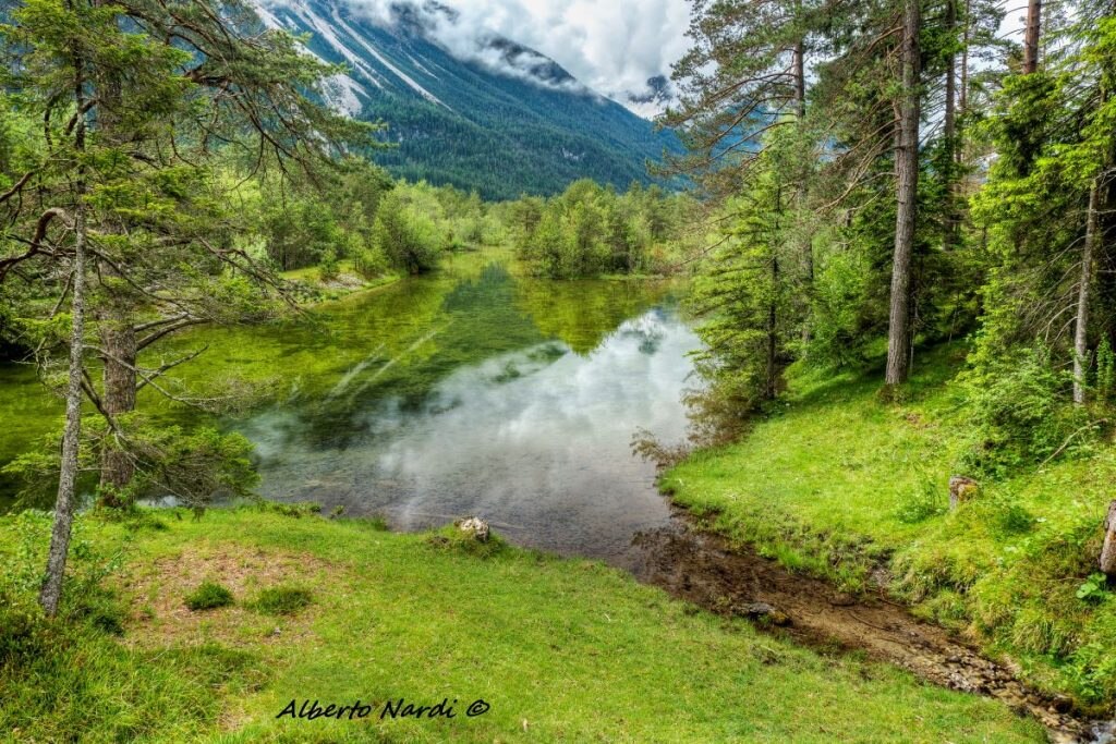 Un laghetto circondato dal bosco e dalla vegetazione ripariale vicino alle sponde del fiume Lech. Foto Alberto Nardi
