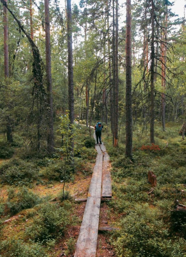 8 giorni zaino in spalla in Estonia