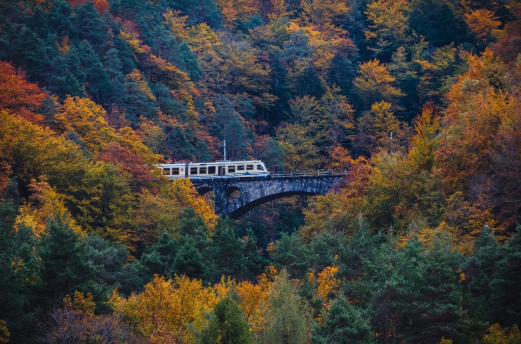 Ferrovia Vigezzina-Centovalli. Foto Christian Guerra