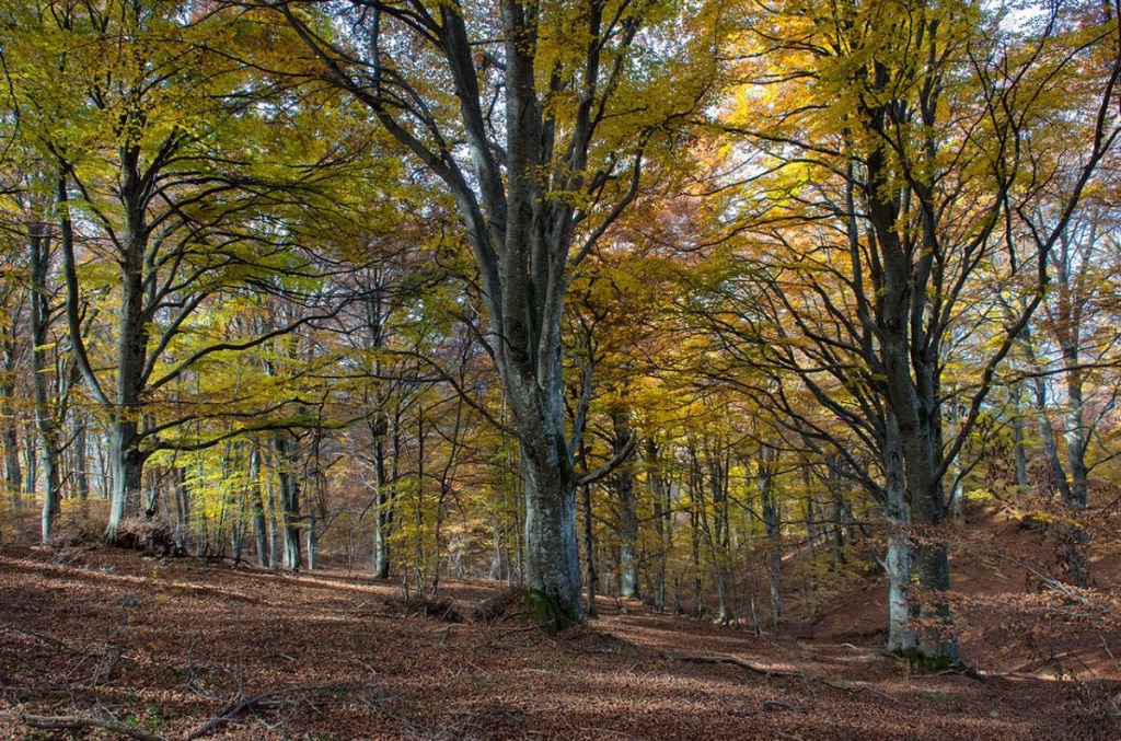 I colori dell'Appennino Modenese. Foto Roberto Carnevali