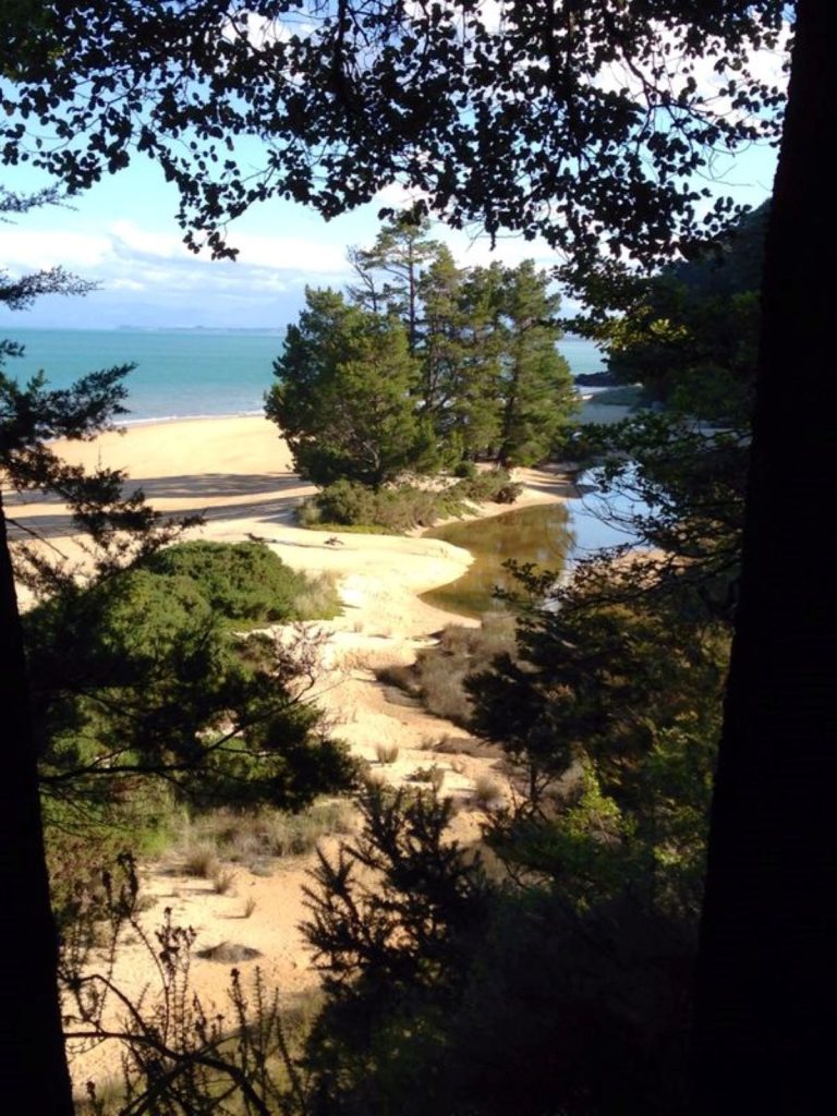 Abel Tasman. Foto Matteo Colizzi