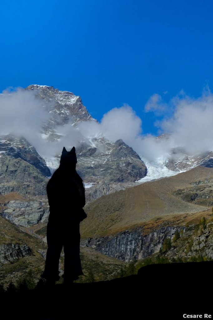 Al cospetto della Punta Gnifetti. Foto Cesare Re