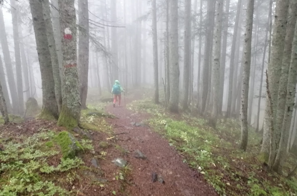Maltempo in agguato. Le Guide alpine spiegano come non farsi cogliere impreparati. Foto Ettore Pettinaroli