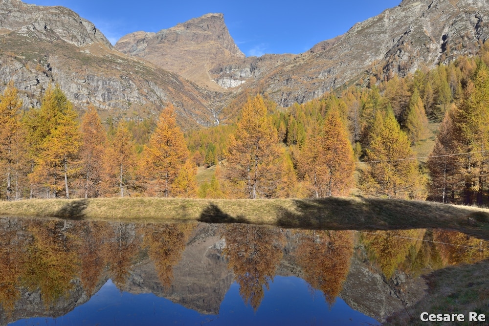 Solo natura…non c’è utilizzo del filtro polarizzatore. Avrebbe accentuato ulteriormente i colori già molto intensi, ma avrebbe affievolito il riflesso sull’acqua. Punta della Rossa, Alpe Devero. Nikon D850; Nikkor 24-70 2,8 AFG; 1/60 sec; f 11; iso 64; polarizzatore.