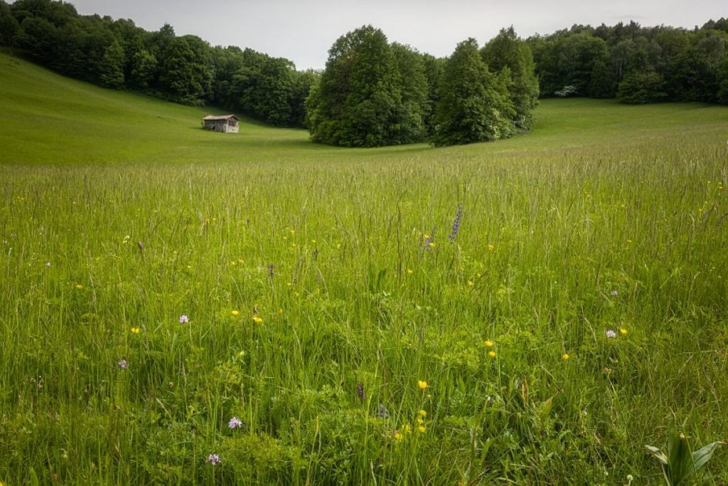 I prati stabili sono Presidi Slow Food @ Slow Food