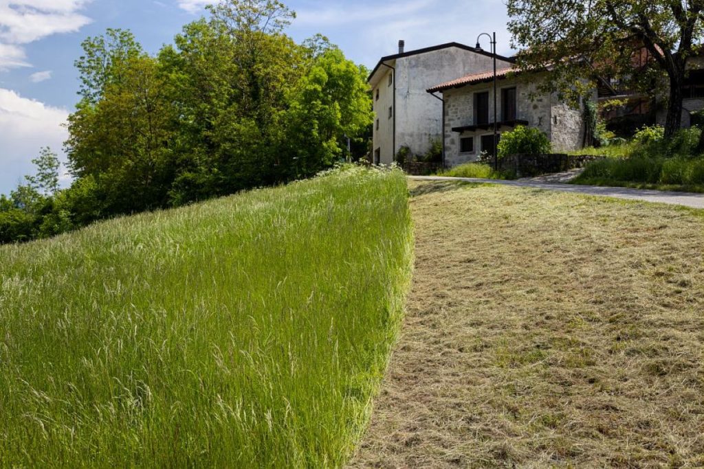 I prati stabili sono preziosi per ottenere foraggi di qualità. Foto Slow Food