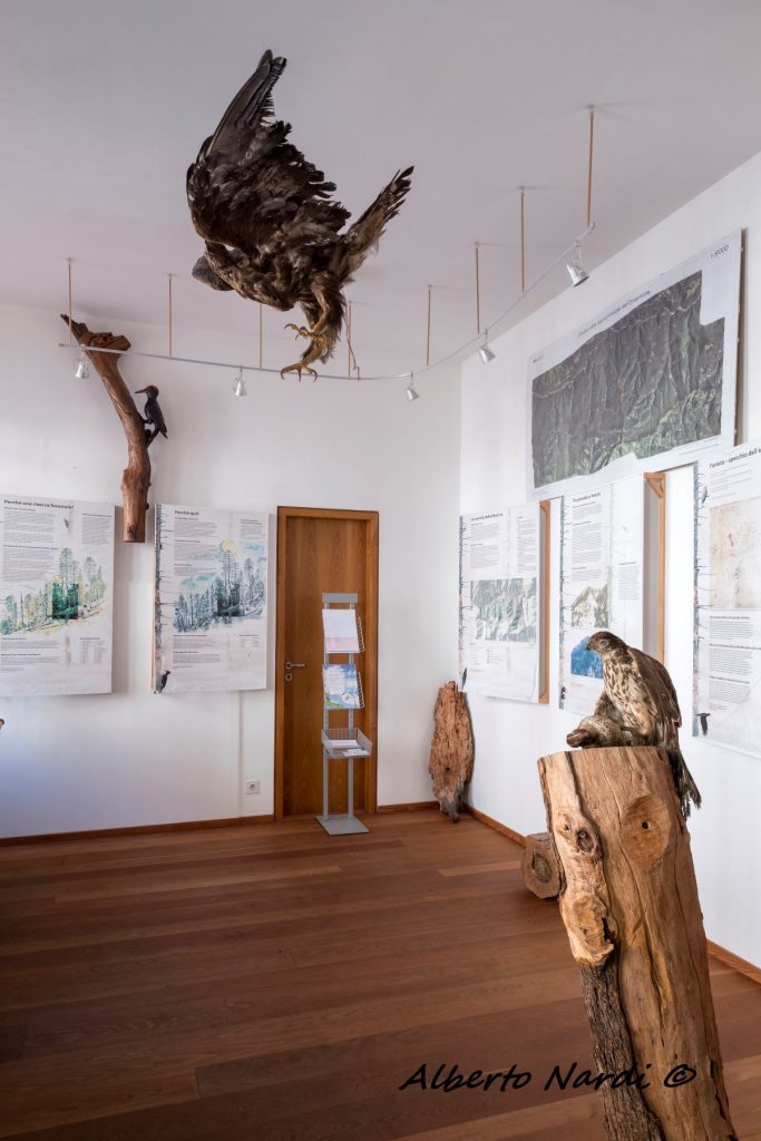 Il Centro di accoglienza della Riserva forestale dell