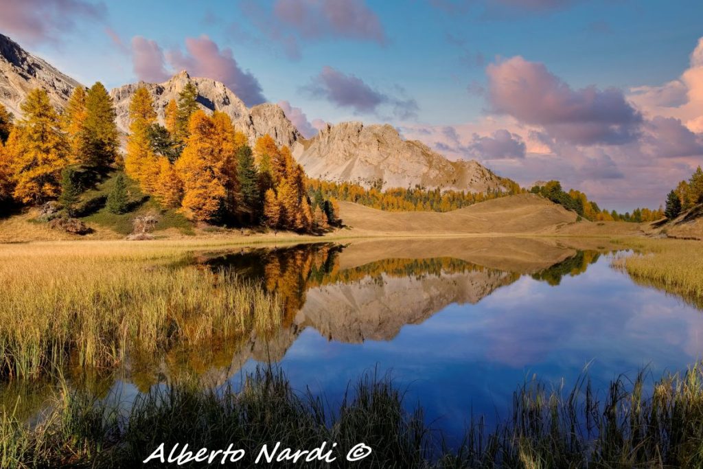 Il Lac Miroir circondato dai larici. Foto Alberto Nardi