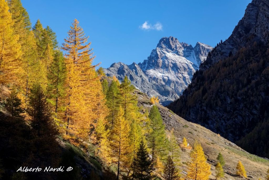 Il Monviso visto dalla valle del fiume Le Guil. Foto Alberto Nardi