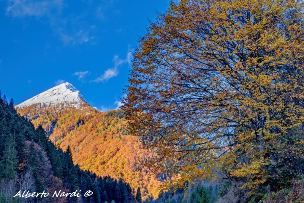 Il Pizzo Ruggia visto dal sentiero per i Bagni di Craveggia. Foto Alberto Nardi