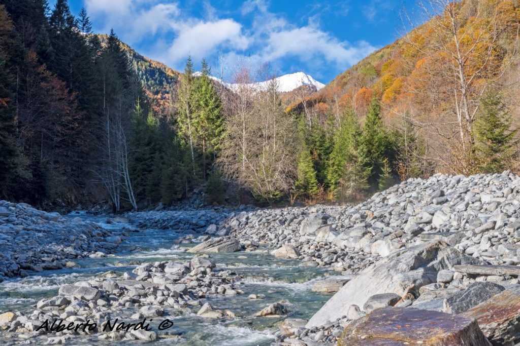 Il torrente Isorno lungo il sentiero per i Bagni di Craveggia. Foto Alberto Nardi