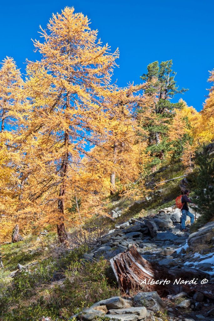 In cammino. Foto Alberto Nardi