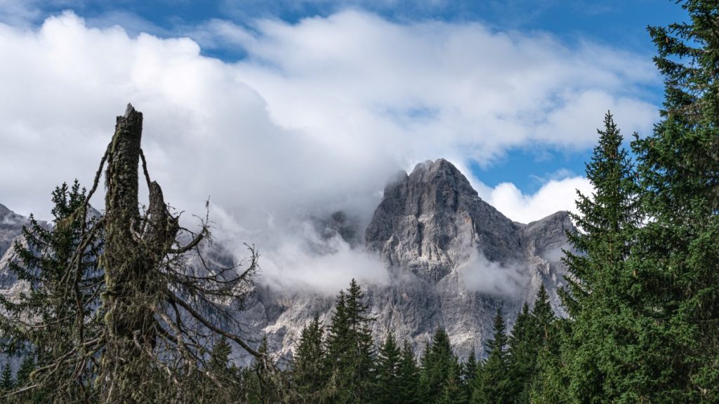 La Croda Rossa di Sesto vista dal sentiero che sale a Malga Nemes. Foto Luigi Tassi