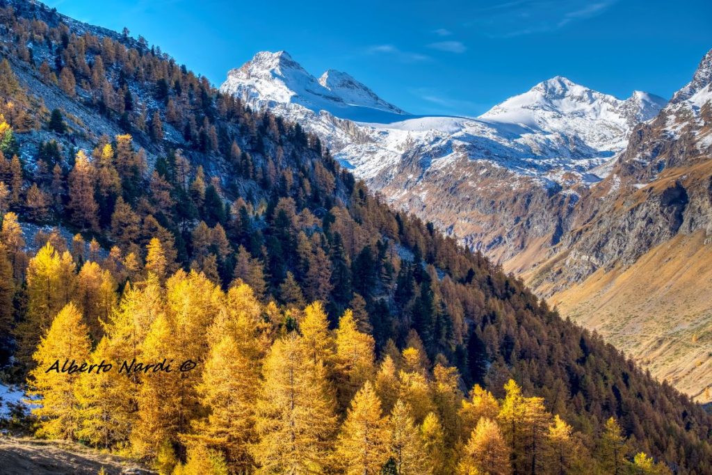 La Granta Parey (3.387 m) e il Ghiacciaio Goletta. Foto Alberto Nardi