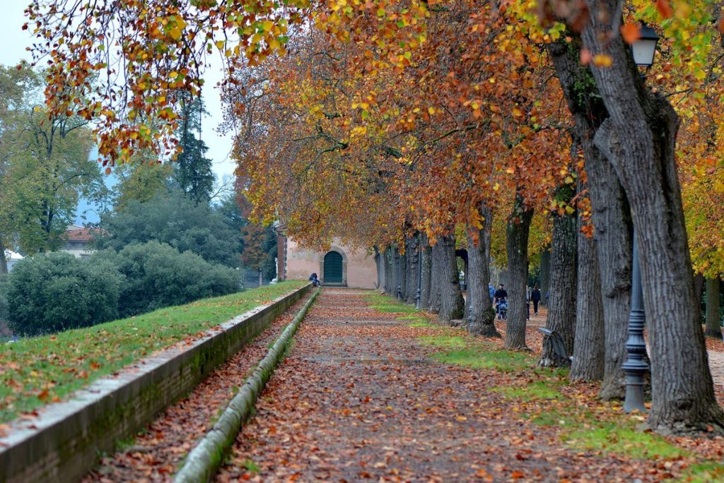 Lucca @ R.Giomi