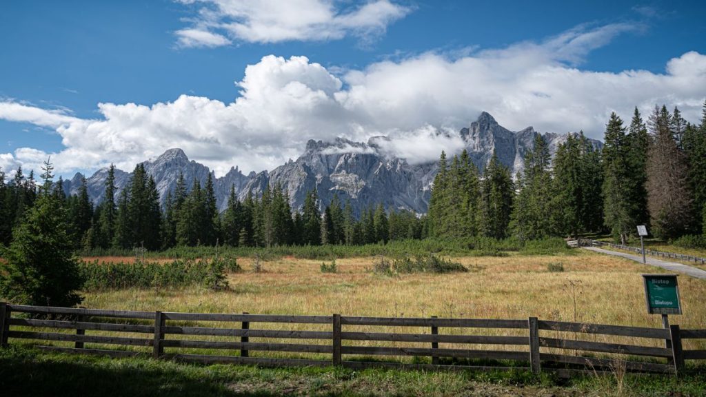 Lungo il sentiero per Malga Neemes. Foto Luigi Tassi