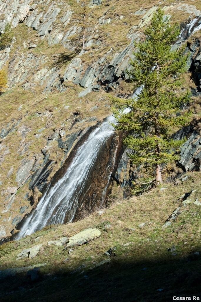 Lungo il sentiero. Foto Cesare Re