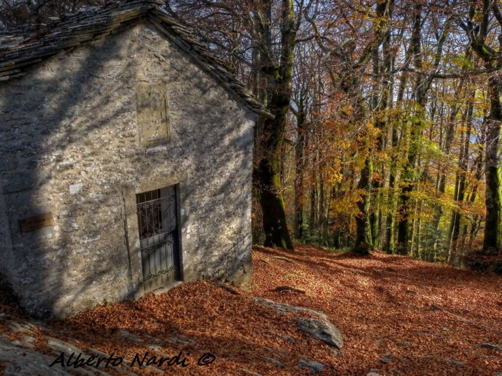 Nel bosco presso La Verna. Foto Alberto Nardi