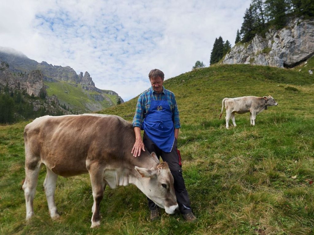 Per la buona salute di un prato stabile è decisivo il ruolo degli allevatori. Foto Slow Food