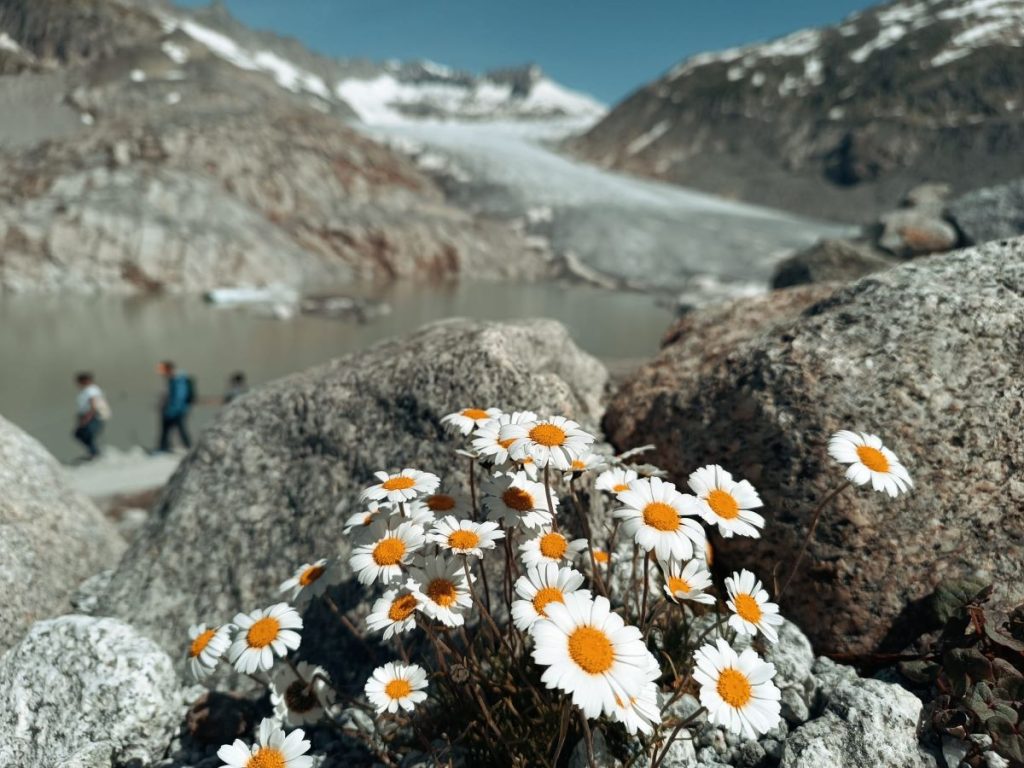 Rhone Glacier. Foto Lia Ricciardi