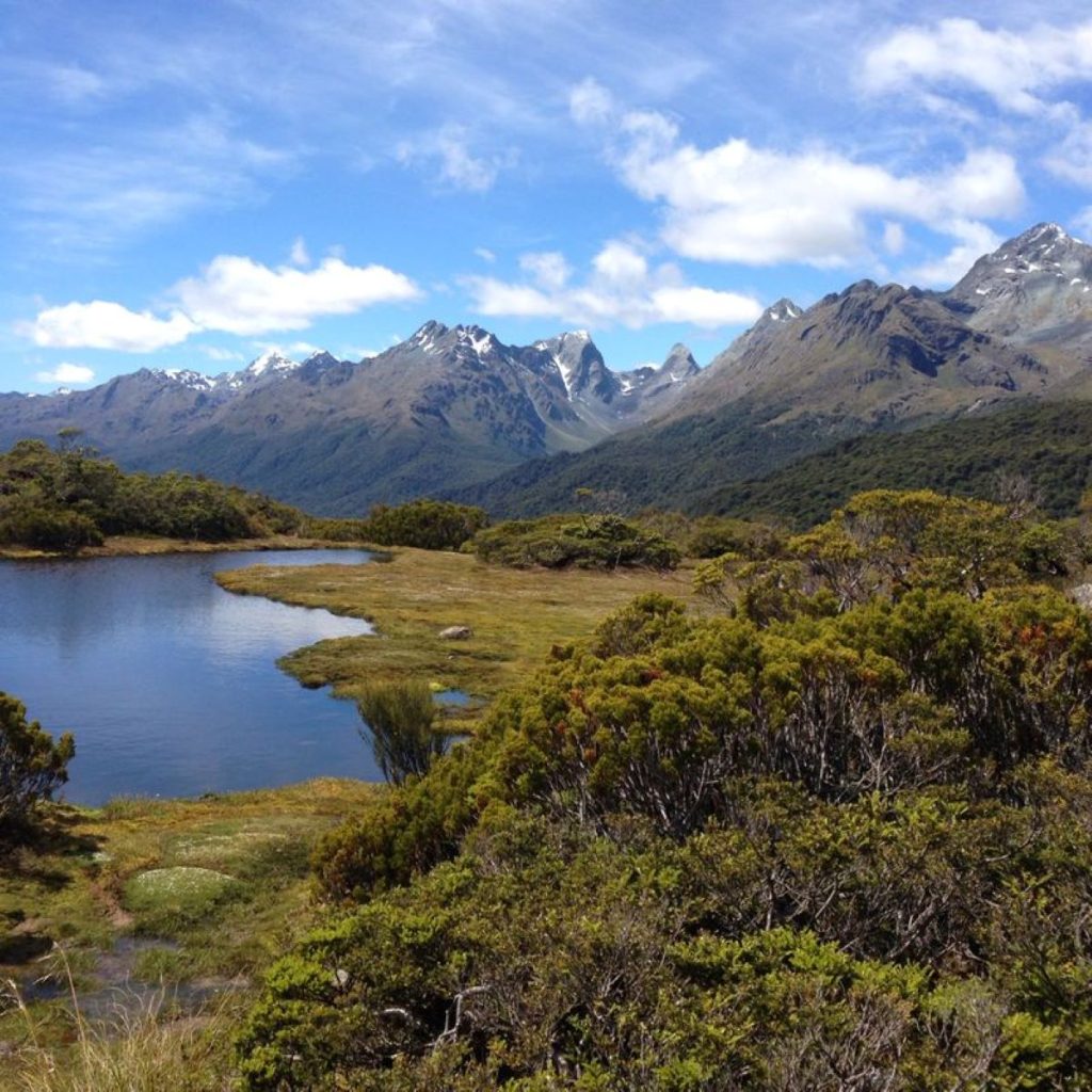 Routeborn Track. Foto Matteo Colizzi