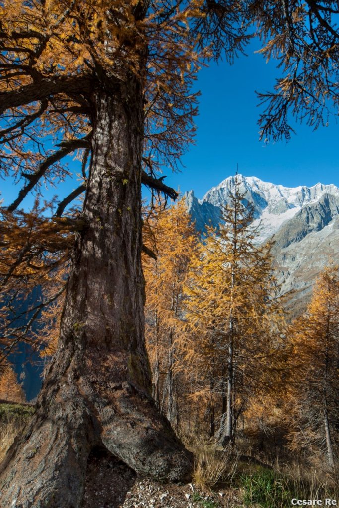 Scorci ineguagliabili. Foto Cesare Re