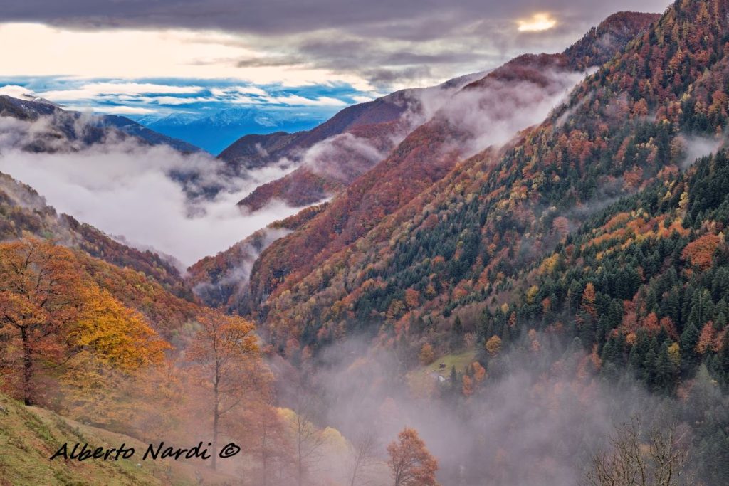 Scorcio sulla Foresta di Onsernone. Foto Alberto Nardi