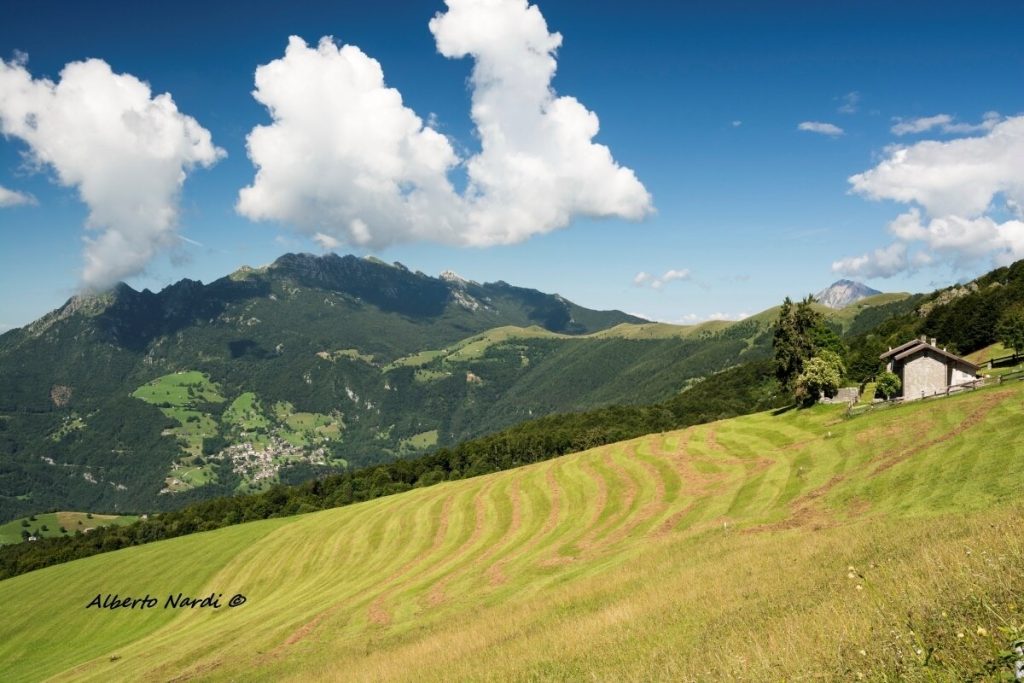 Sentiero Tre Faggi e Costa del Palio- le Prealpi orobiche danno spettacolo