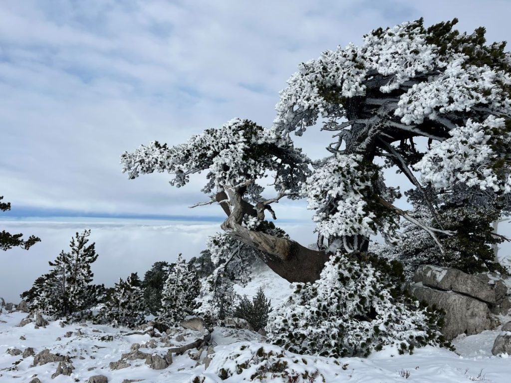 Storie di resilienza e perseveranza. Foto Concetta Lisella